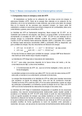 APUNTES-PRIMER-PARCIAL.pdf