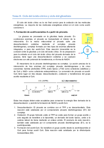 APUNTES-SEGUNDO-PARCIAL.pdf