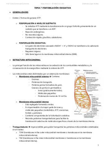 TEMA-7-FOSFORILACION-OXIDATIVA-subir.pdf