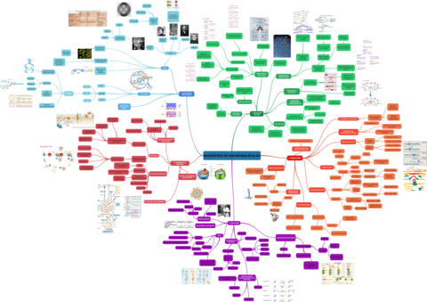 BIOSINTESIS-DE-MACROMOLECULAS.png