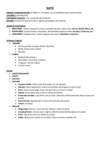 Gatos.pdf