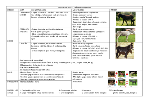 Razas-de-caballos.pdf