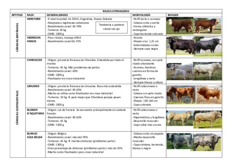 Vacas.pdf