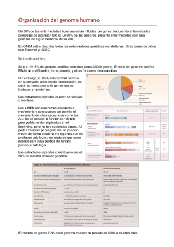 1.pdf