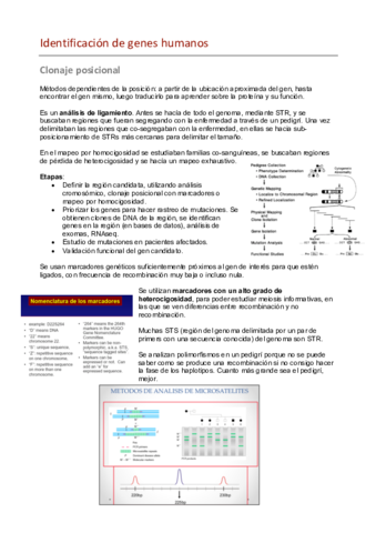 6.pdf