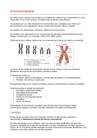 7.pdf
