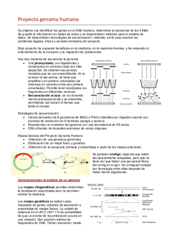 4.pdf