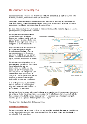11.pdf