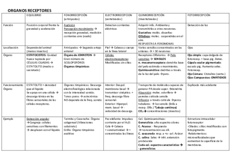 Tema-2-ORGANOS-RECEPTORES-TABLA.pdf