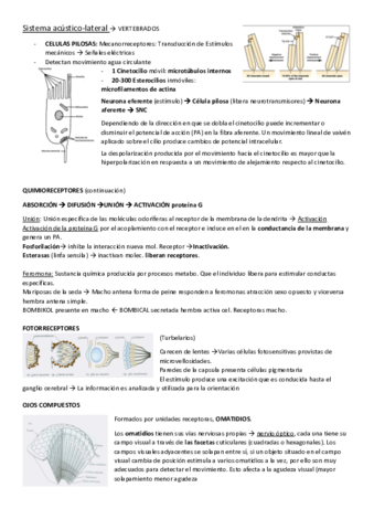 Tema-2-Organos-receptores-2-RESUMEN.pdf