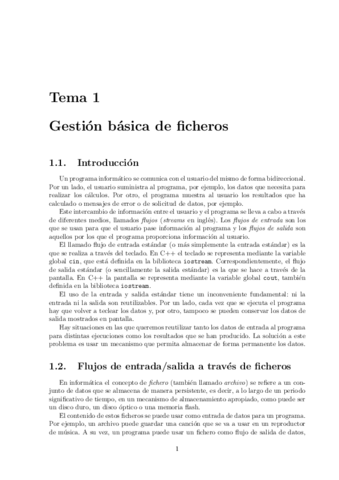 Apuntes Tema 1.pdf