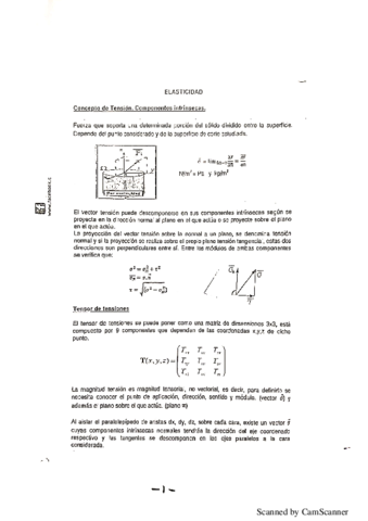 Elasticidad.pdf