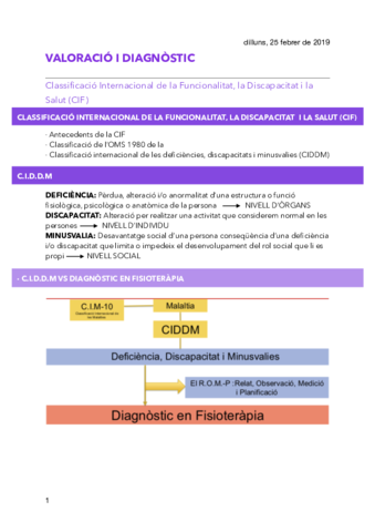 Classificacio-Internacional-de-la-Funcionalitat-la-Discapacitat-i-la-Salut-CIF.pdf