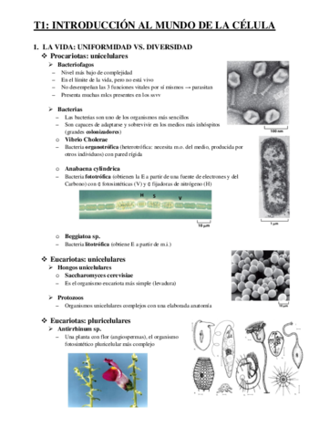 APUNTES-TODOS-LOS-TEMAS.pdf