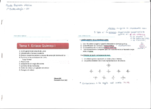 T1-Teoria.pdf