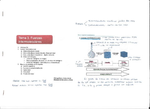 T3-Teoria.pdf