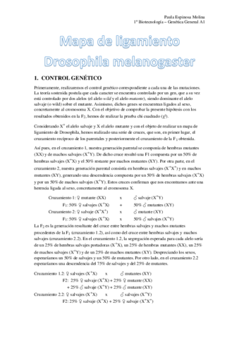 Mapa-de-ligamiento-drosophila.pdf