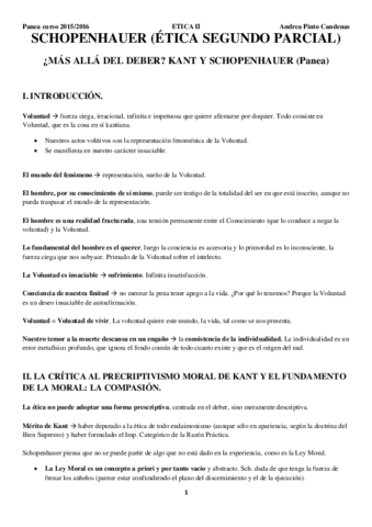 articulo schopenhauer panea - resumen.pdf