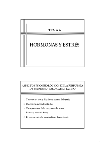 TEMA_6_ESTRES - copia.pdf