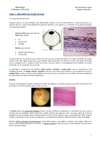 Tema-1-Anatomia-del-globo-ocular.pdf