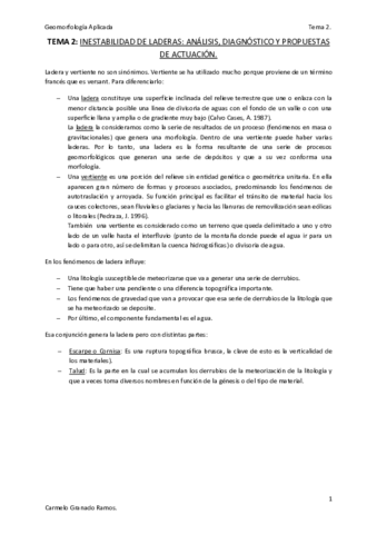 Tema 2 - Inestabilidad de Laderas; Análisis Diagnóstico y Propuestas de Actuación..pdf