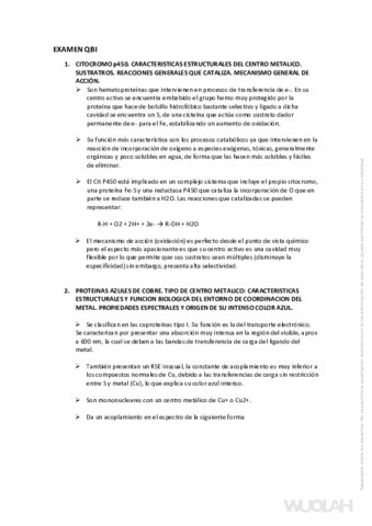 examen-tipo-Qib.pdf