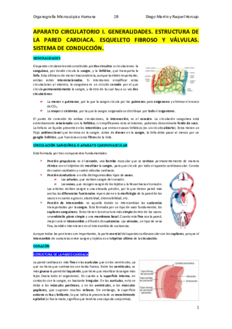 CIRCULATORIO-I.pdf