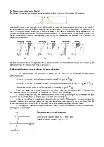 FlexionesTema10.pdf
