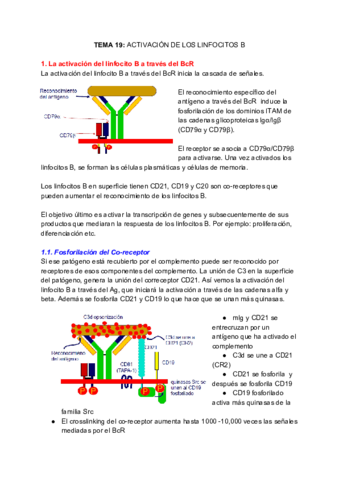 INMUNOLOGIA-Tema-19.pdf