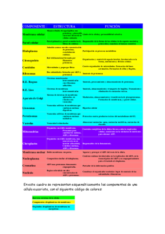 esquemacelula1.pdf