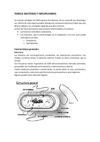 TEMA_8.pdf