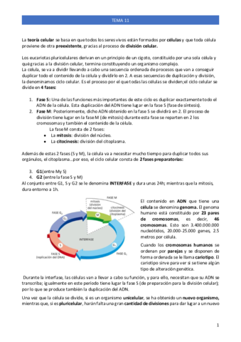 TEMA-11-CICLO-CELULAR.pdf