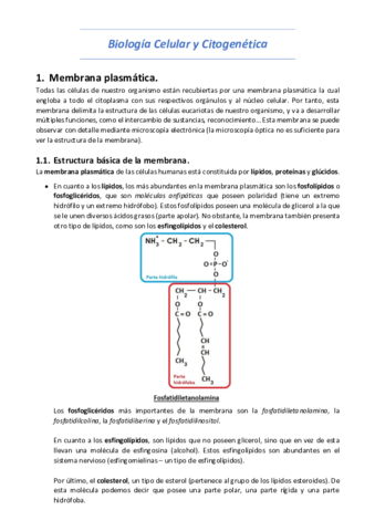 Biologia-Celular-y-Citogenetica.pdf