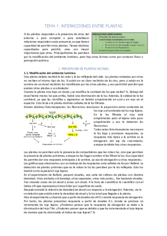 FAP-TEORIA.pdf