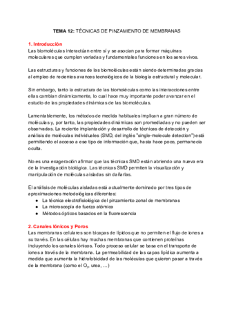 TECNICAS-AVANZADAS-Tema-12.pdf