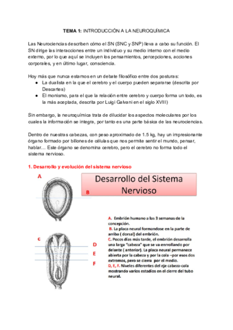 NEUROQUIMICA-Tema-1.pdf