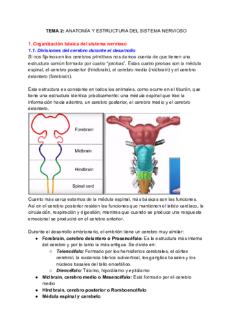 NEUROQUIMICA-Tema-2.pdf