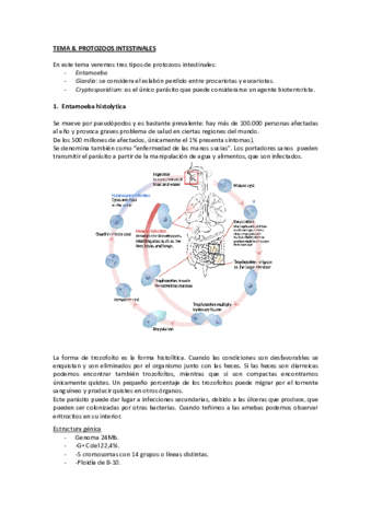 Imprimir 4 (Temario Parasitología Molecular Sanitaria).pdf