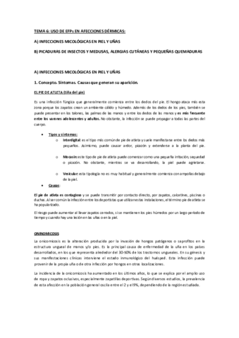 TEMA-6-OBJETIVOS-DESARROLLADOS.pdf
