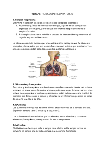 BQ-CLINICA-Y-PATOLOGIA-Tema-13.pdf
