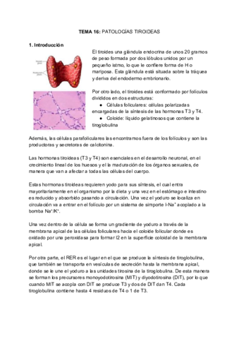 BQ-CLINICA-Y-PATOLOGIA-Tema-16.pdf