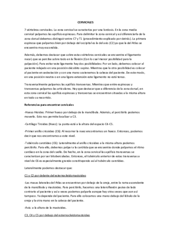 Prácticas Fisioterapia General Cervical y Dorsal.pdf