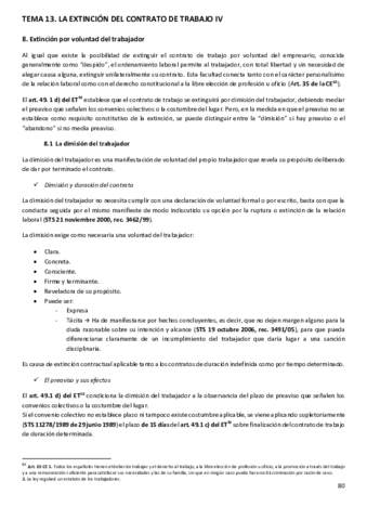 Tema-13.pdf