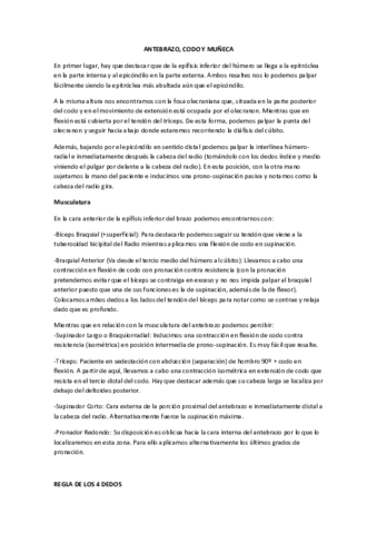 Prácticas Fisioterapia General Codo Antebrazo y Muñeca.pdf