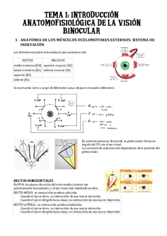 TEMA-1-introduccion-anatomofisiologica.pdf