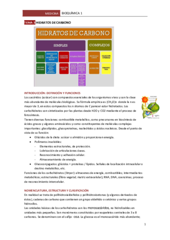 TEMA-3-HIDRATOS-DE-CARBONO.pdf