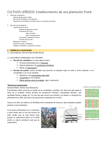 Lenososplantacion.pdf