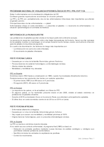 PPC-PPA-EVP-y-EA.pdf