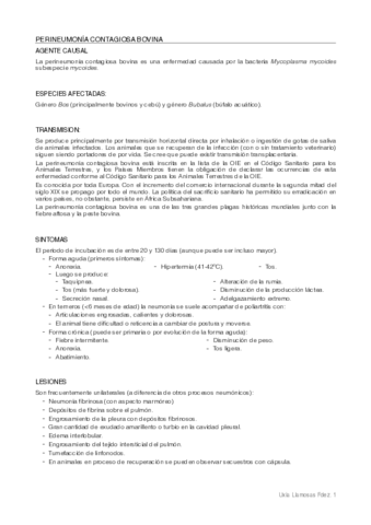Perineumonia-contagiosa-bovina.pdf