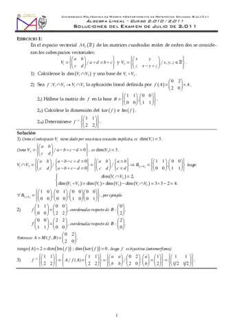 10Algebra11VIIsolucion.pdf